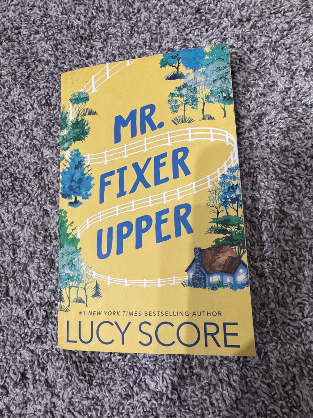 New - Mr. Fixer Upper by Lucy Score
